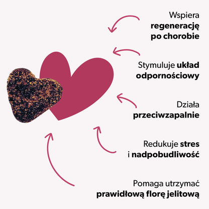 Suplement na wsparcie odporności dla psa – miękkie kąski 360 g