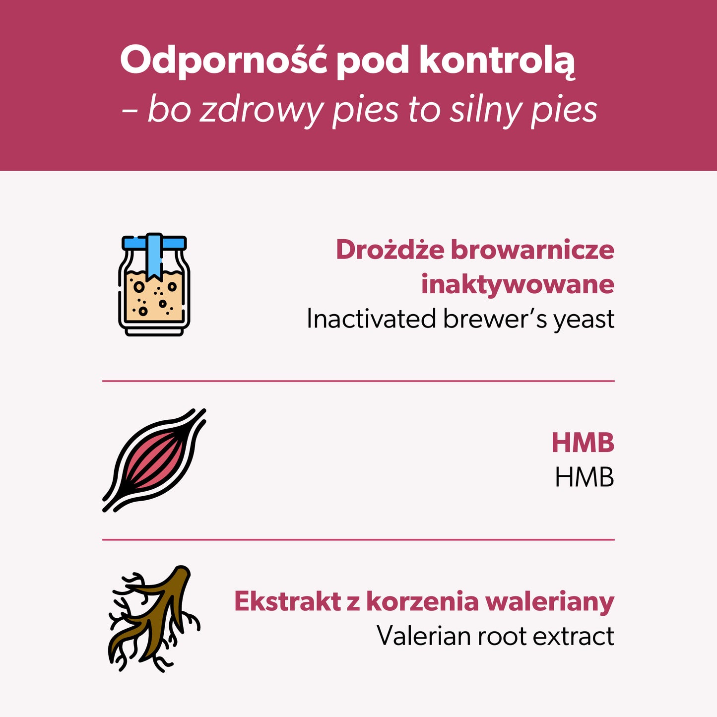 Suplement na wsparcie odporności dla psa – miękkie kąski 360 g