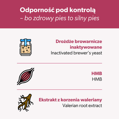 Suplement na wsparcie odporności dla psa – miękkie kąski 360 g
