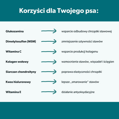 Suplement na stawy i kości + kwas hialuronowy dla psa – miękkie kąski 360 g
