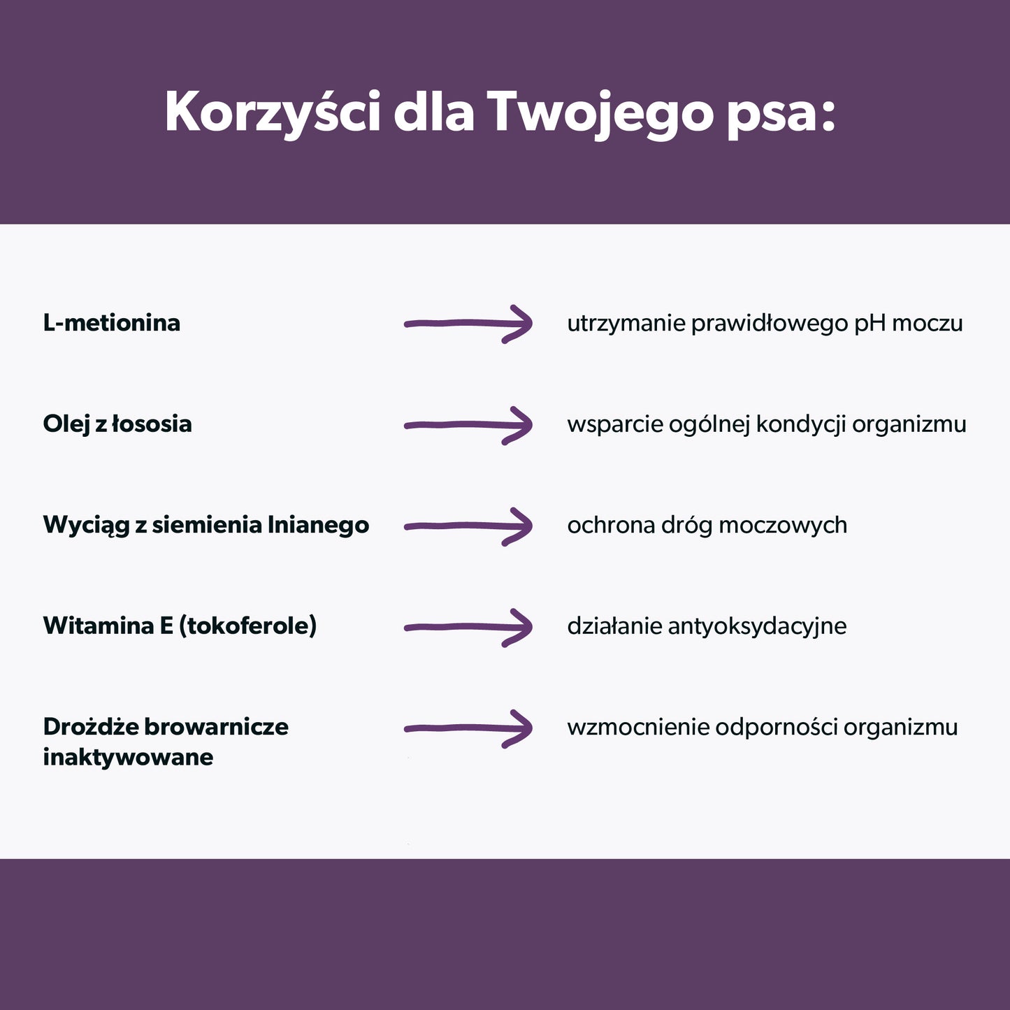 Suplement na wsparcie układu moczowego dla psa – miękkie kąski 180 g