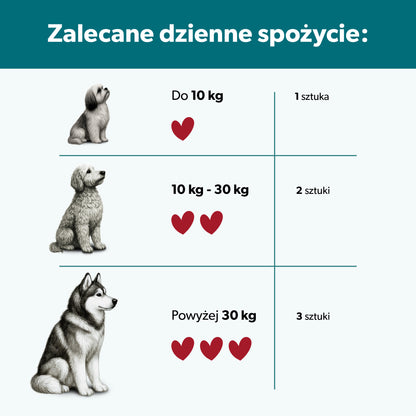 Suplement na stawy i kości + kwas hialuronowy dla psa – miękkie kąski 360 g