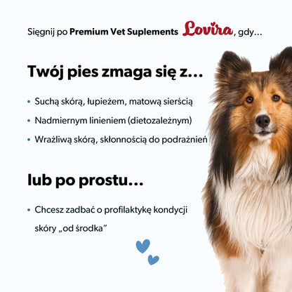 Suplement na skórę i sierść dla psa – miękkie kąski 180 g