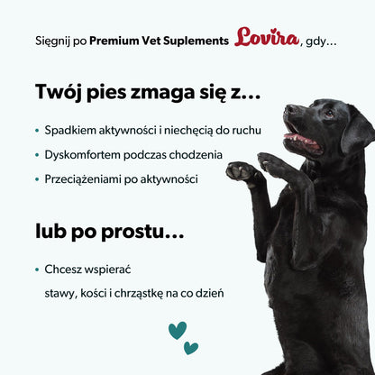 Suplement na stawy i kości + kwas hialuronowy dla psa – miękkie kąski 180 g