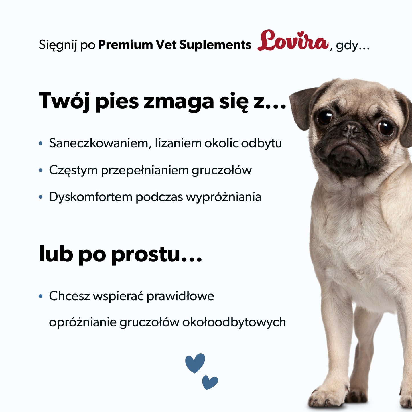 Suplement na gruczoły okołoodbytowe dla psa – miękkie kąski 360 g