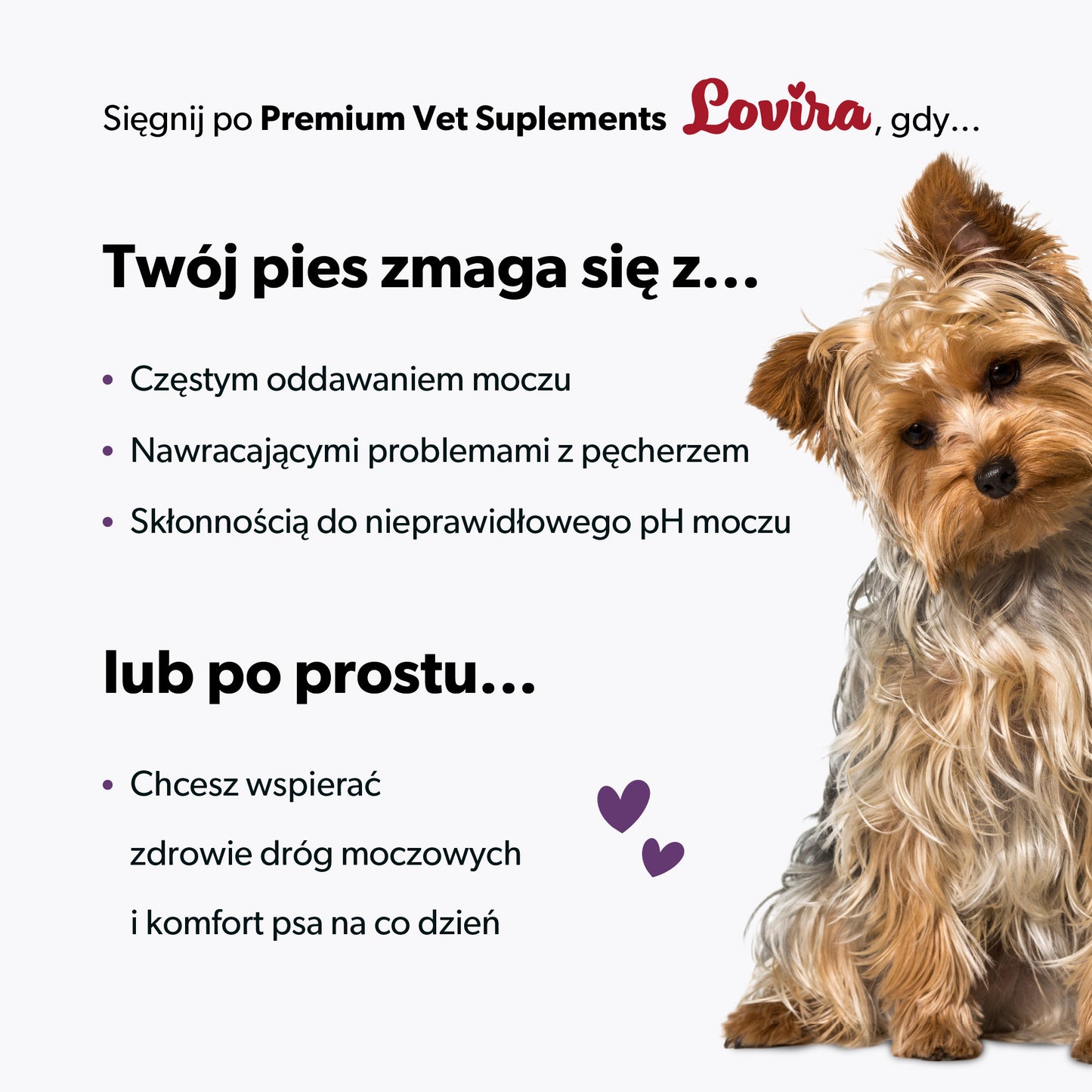 Suplement na wsparcie układu moczowego dla psa – miękkie kąski 180 g