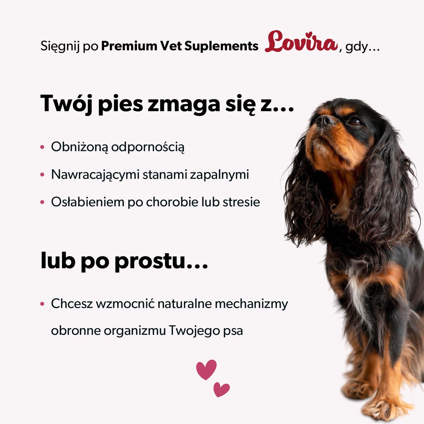 Suplement na wsparcie odporności dla psa – miękkie kąski 360 g