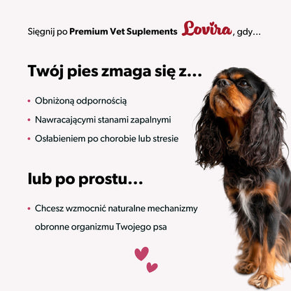 Suplement na wsparcie odporności dla psa – miękkie kąski 360 g