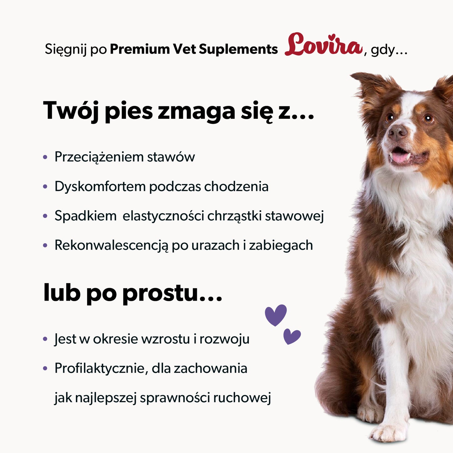 Suplement na stawy i kości dla psa – miękkie kąski 360 g