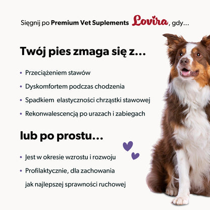 Suplement na stawy i kości dla psa – miękkie kąski 360 g