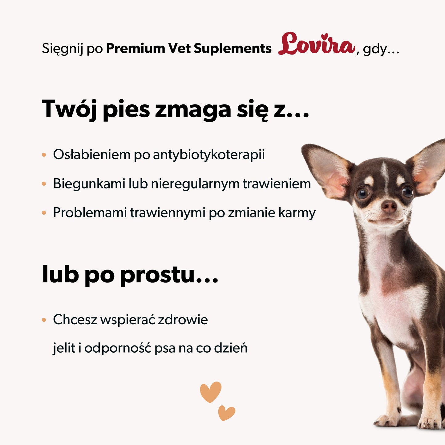 Suplement z probiotykiem dla psa – miękkie kąski 180 g