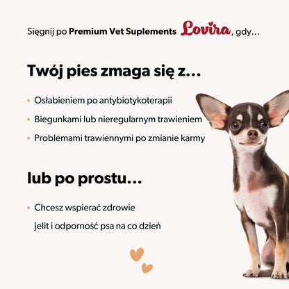 Suplement z probiotykiem dla psa – miękkie kąski 180 g