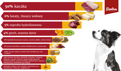Sucha karma dla psa z kaczką 3kg – bezzbożowa Lovira