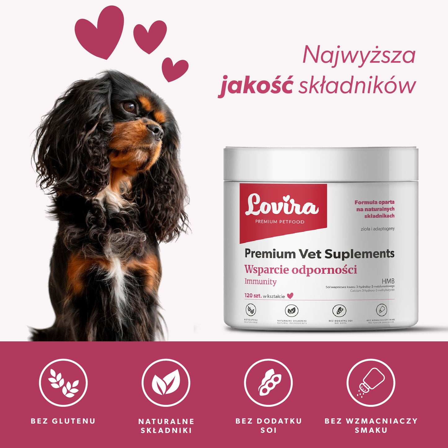 Suplement na wsparcie odporności dla psa – miękkie kąski 360 g