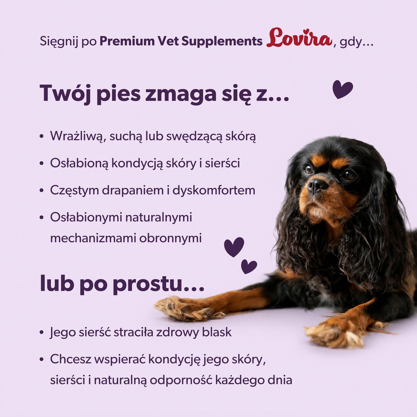 Suplementy na alergię u psa – miękkie kąski 360g