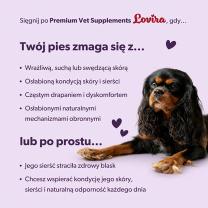 Suplementy na alergię u psa – miękkie kąski 360g