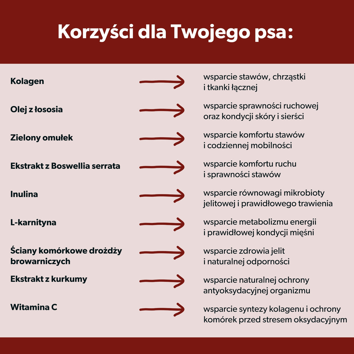Suplement dla psa seniora wspierający zdrowe życie – miękkie kąski 360g