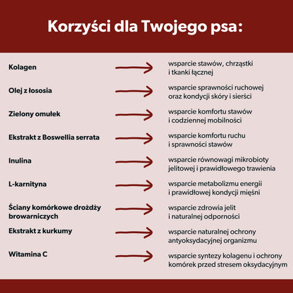 Suplement dla psa seniora wspierający zdrowe życie – miękkie kąski 360g