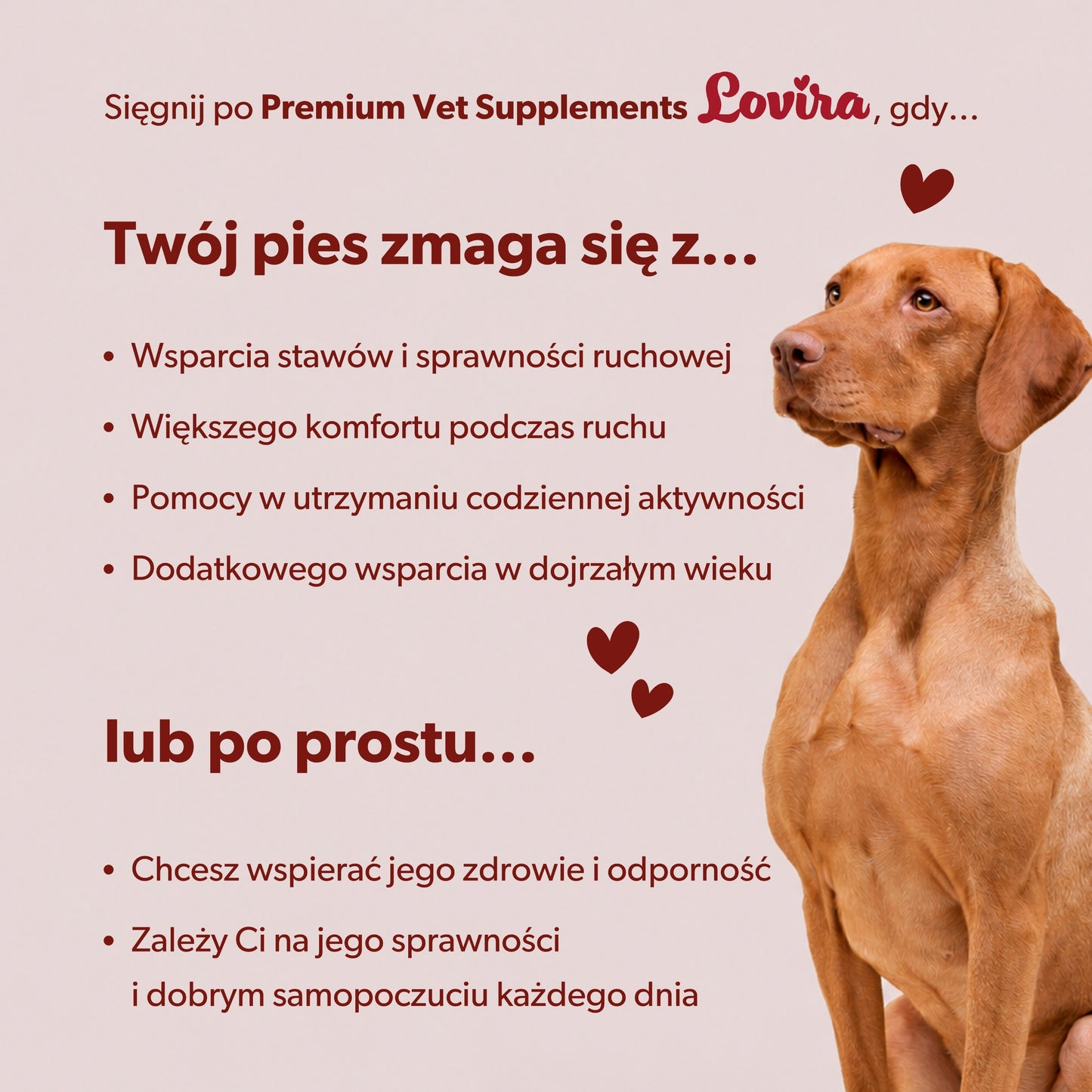 Suplement dla psa seniora wspierający zdrowe życie – miękkie kąski 360g
