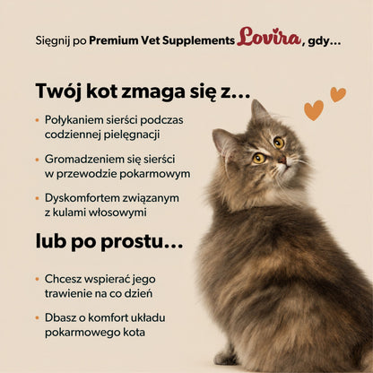 Suplement odkłaczający dla kota – miękkie kąski 180 g