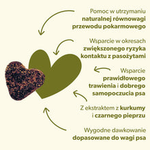 Suplement wspierający ochronę przed pasożytami u psa – miękkie kąski 180g