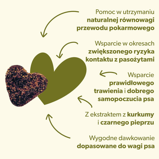 Suplement wspierający ochronę przed pasożytami u psa – miękkie kąski 360g