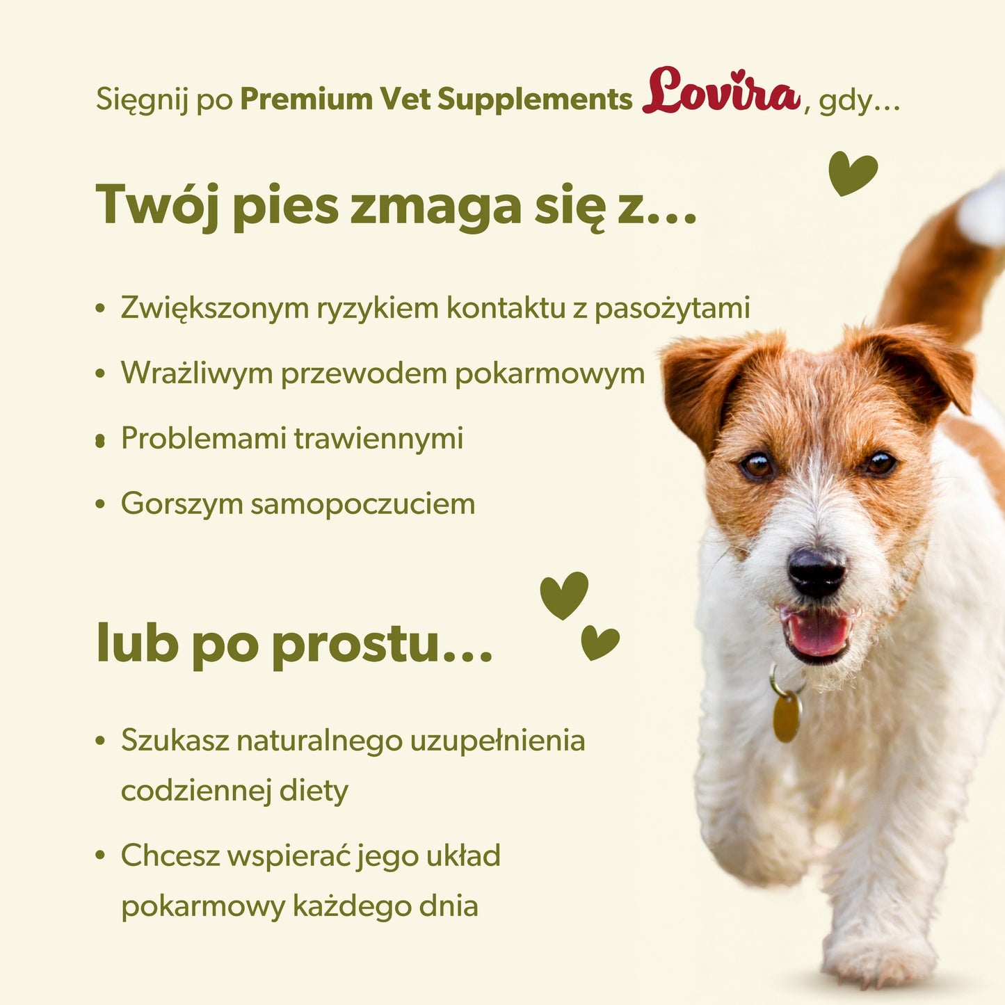 Suplement wspierający ochronę przed pasożytami u psa – miękkie kąski 180g