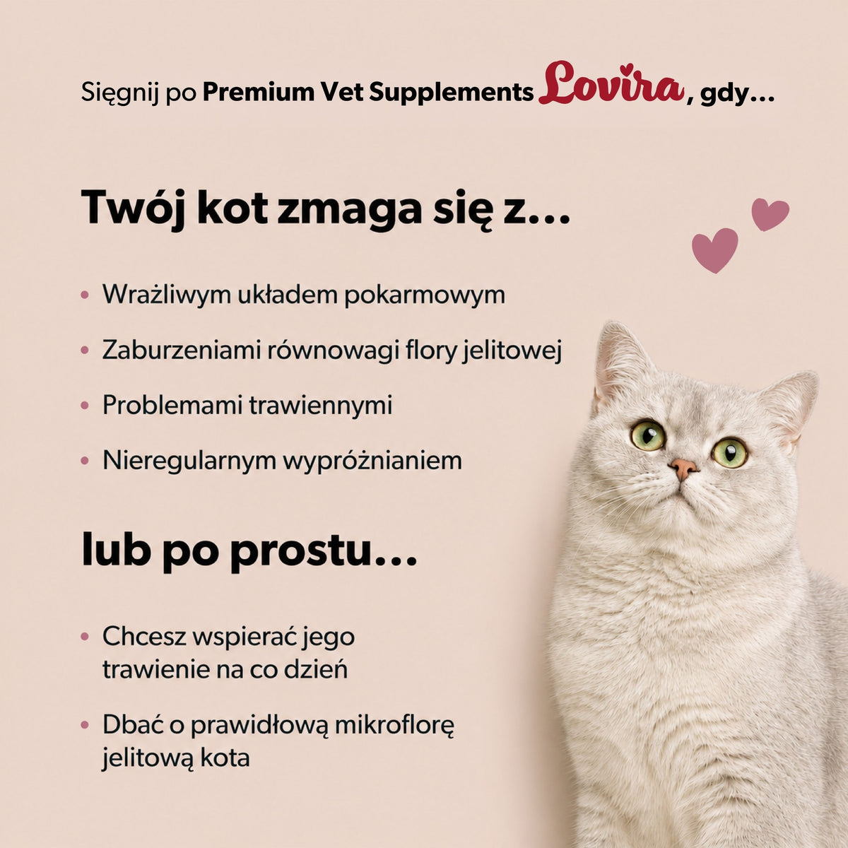 Suplement z probiotykiem dla kota – miękkie kąski 180 g