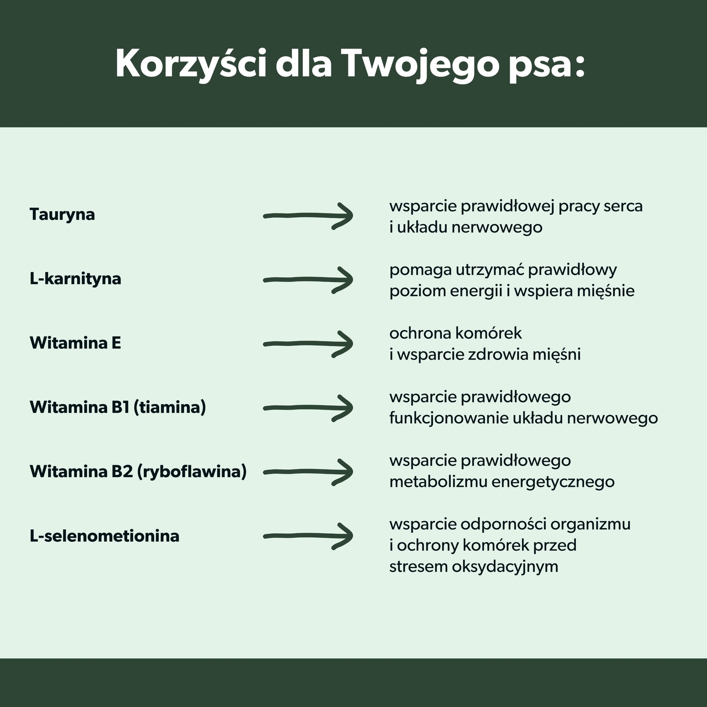 Suplement wspierający pracę serca i układ krążenia psa – miękkie kąski 180 g