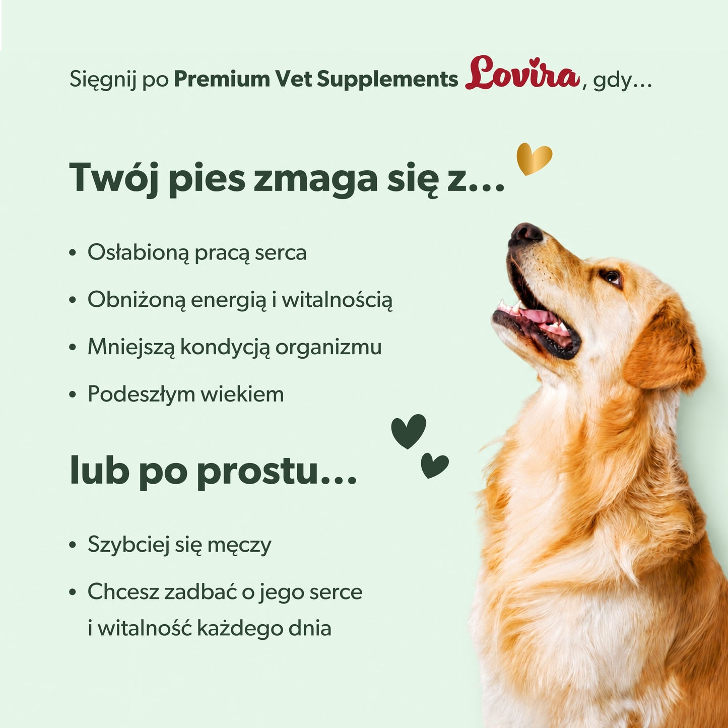 Suplement wspierający pracę serca i układ krążenia psa – miękkie kąski 360 g