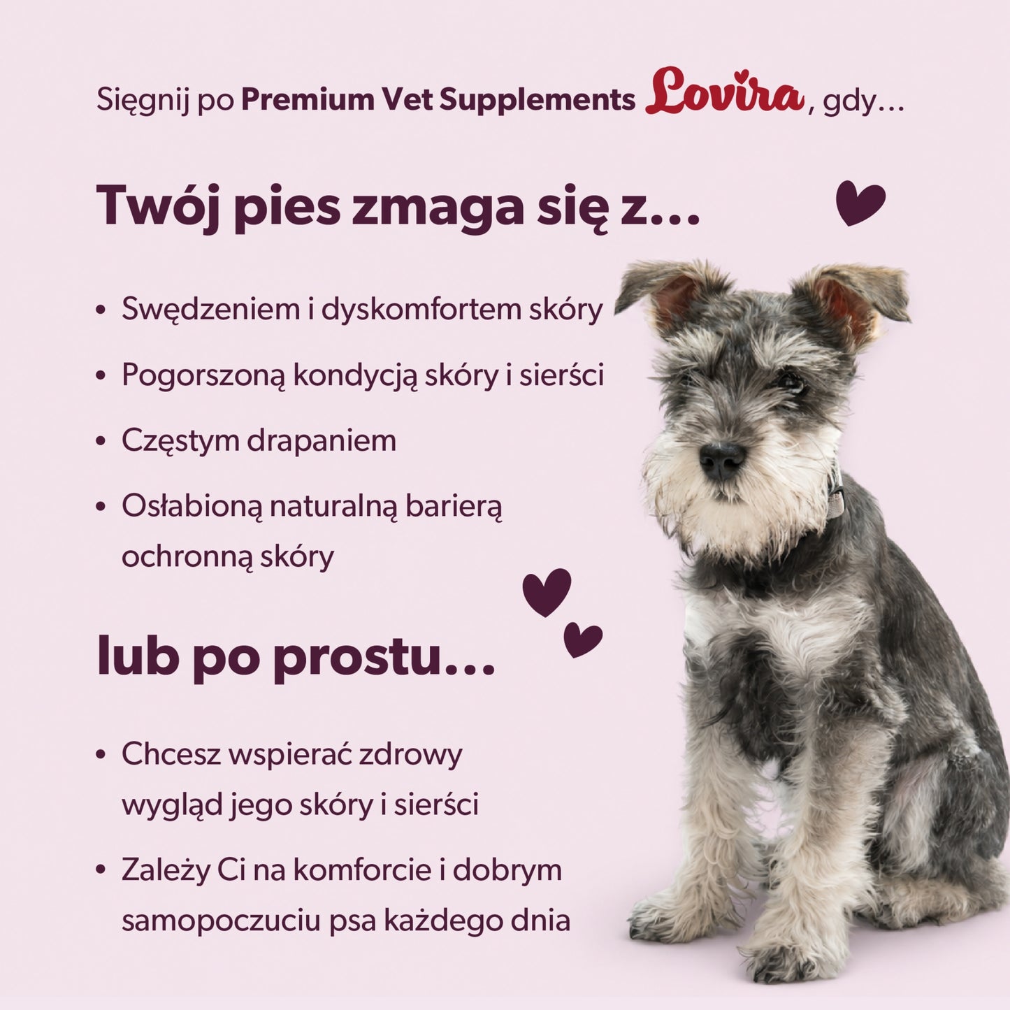 Suplement na świąd u psa – miękkie kąski 360 g