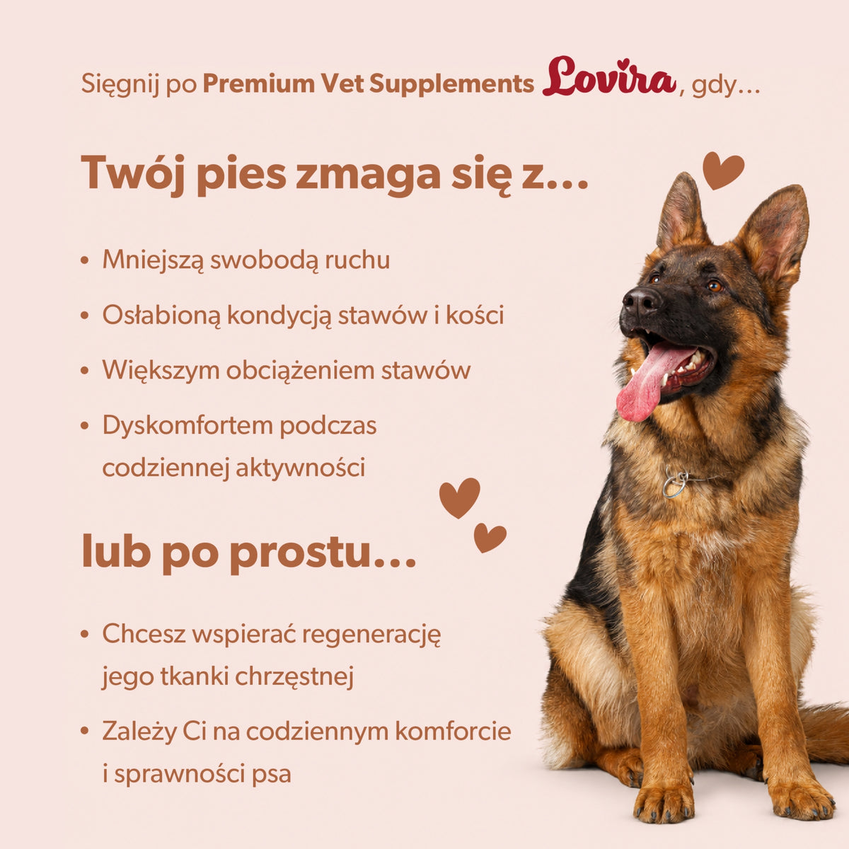 Funkcjonalne przysmaki treningowe dla psa z glukozaminą – miękkie kąski 180g