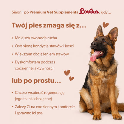 Funkcjonalne przysmaki treningowe dla psa z glukozaminą – miękkie kąski 180g