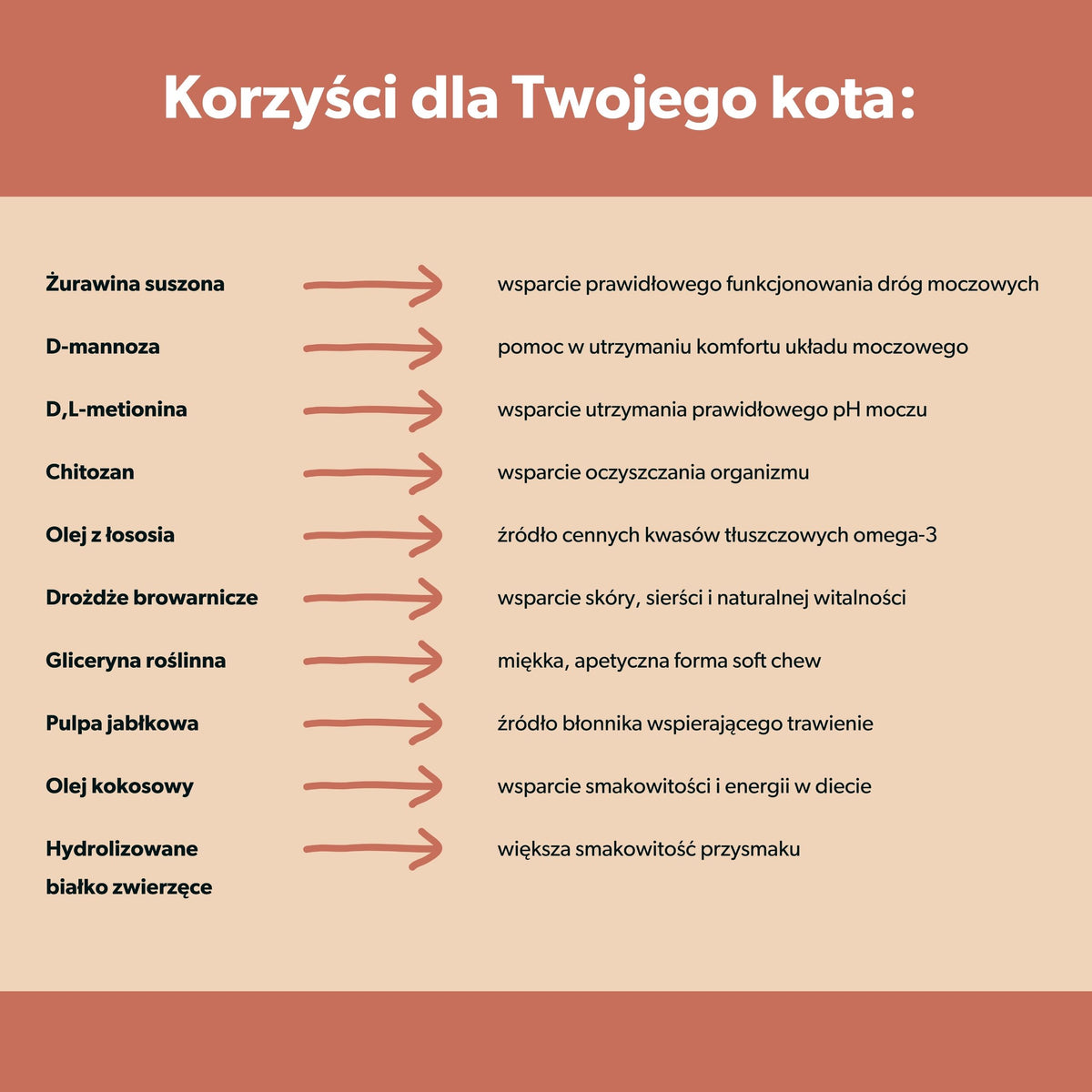 Suplement na układ moczowy i nerki dla kota – miękkie kąski 180 g