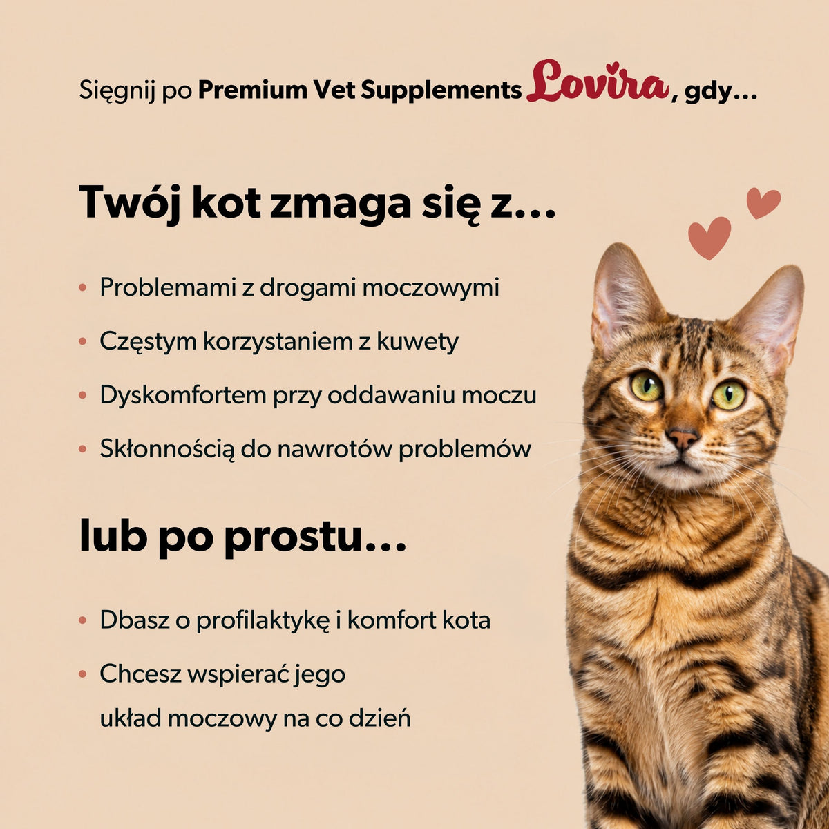 Suplement na układ moczowy i nerki dla kota – miękkie kąski 180 g