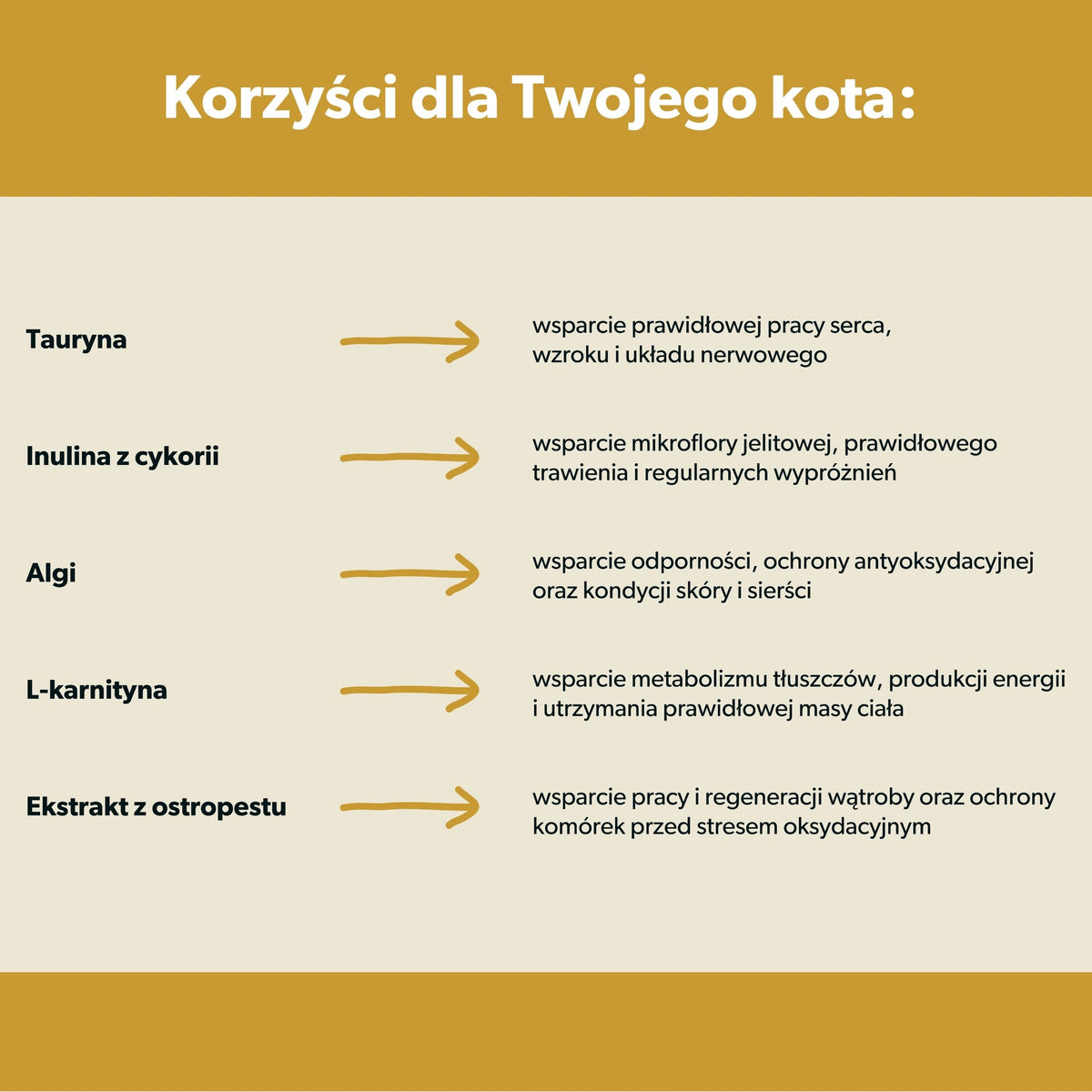 Suplement wspierający funkcjonowanie wątroby dla kota – miękkie kąski 180g