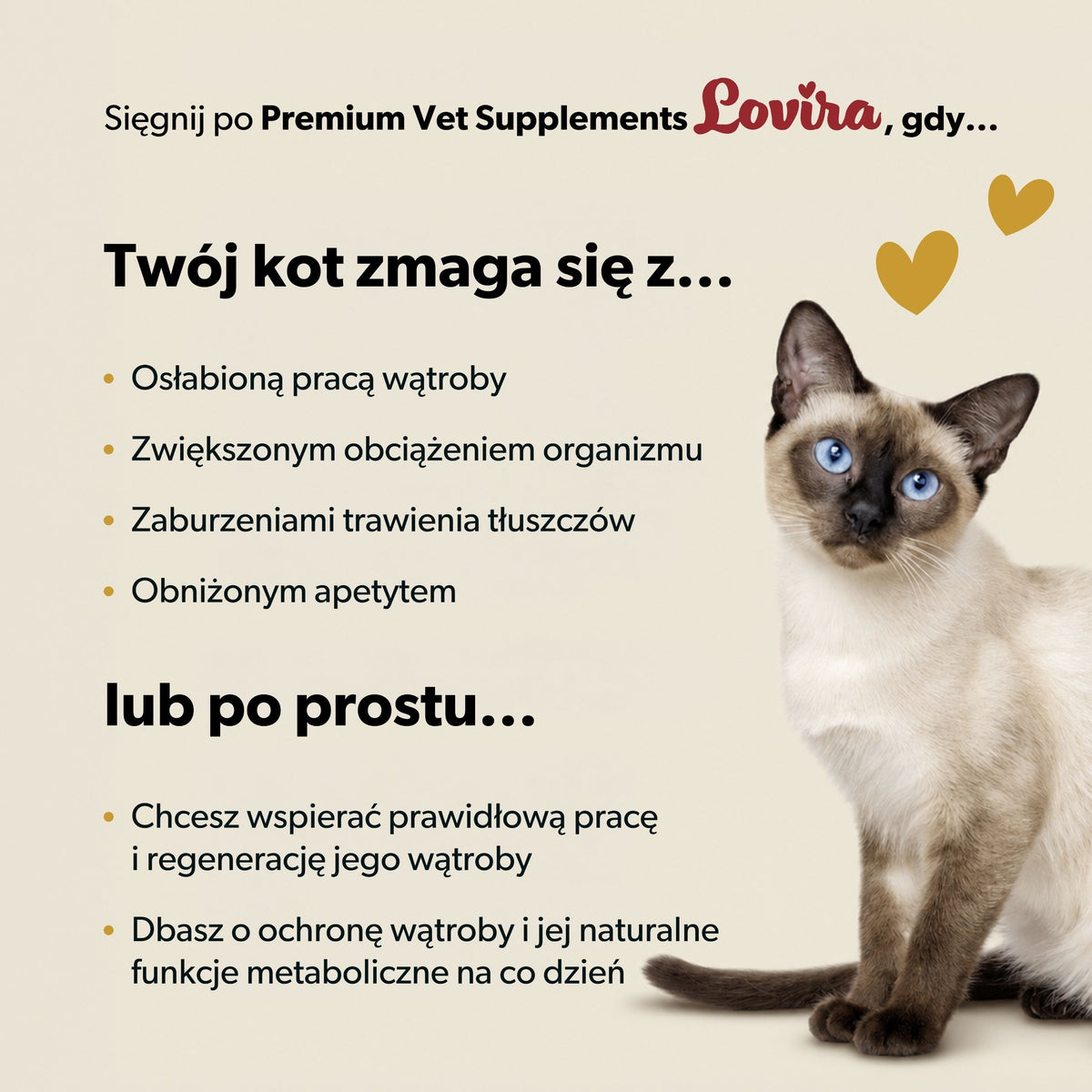 Suplement wspierający funkcjonowanie wątroby dla kota – miękkie kąski 180g